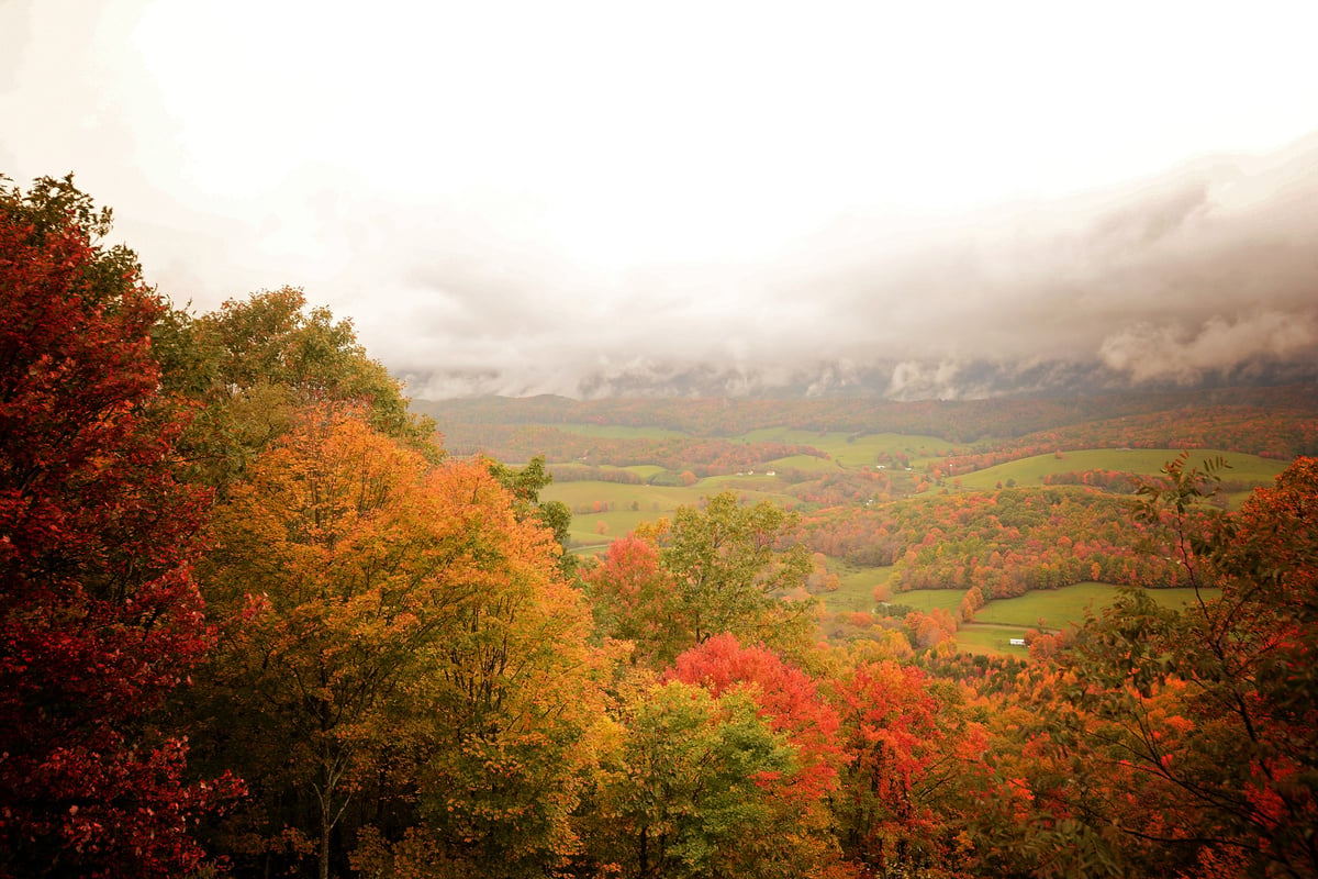 Blueridge Fall Landscape