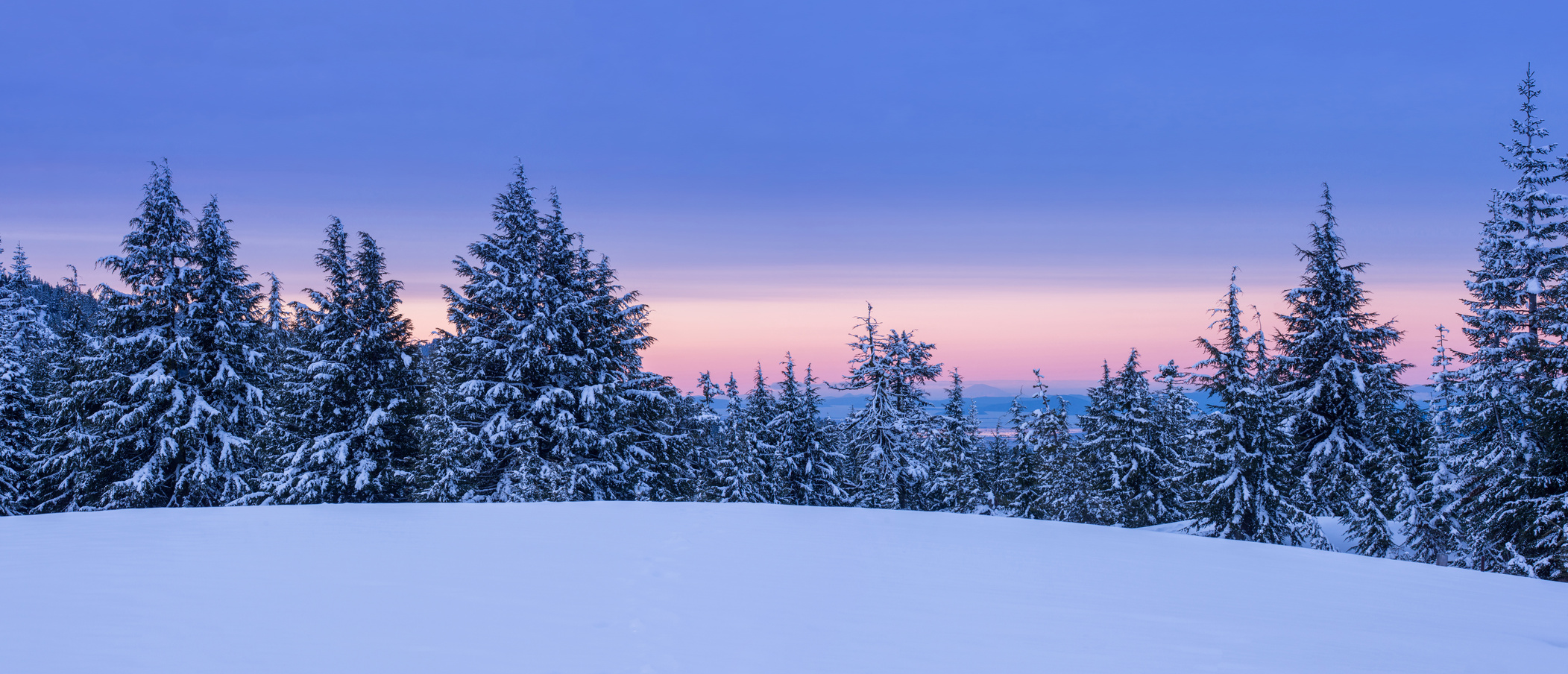 Winter Landscape